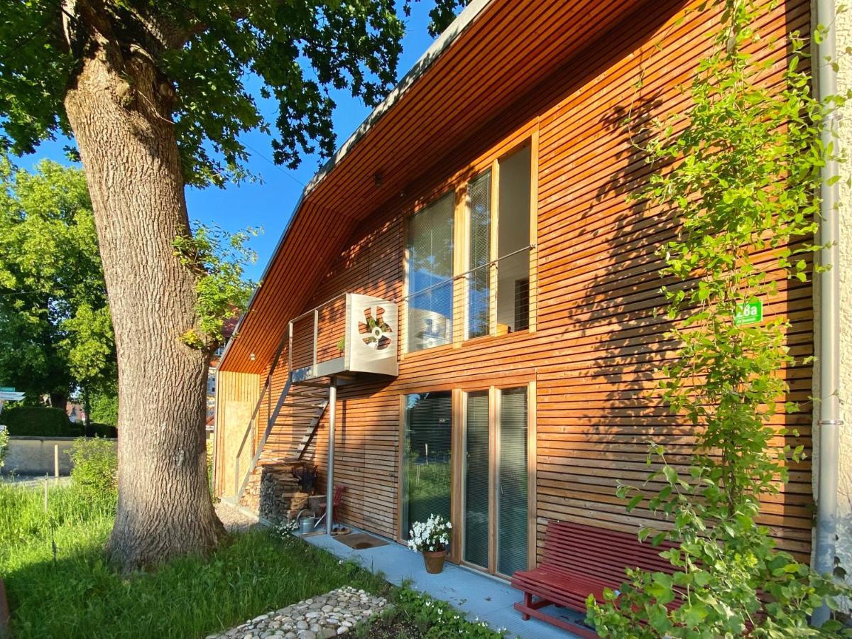 Loft mit Dachterrasse Lejlighed Bernau am Chiemsee Eksteriør billede