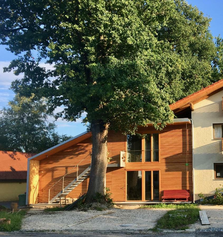 Loft mit Dachterrasse Lejlighed Bernau am Chiemsee Eksteriør billede