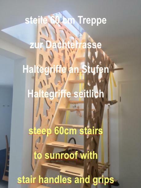 Loft mit Dachterrasse Lejlighed Bernau am Chiemsee Eksteriør billede